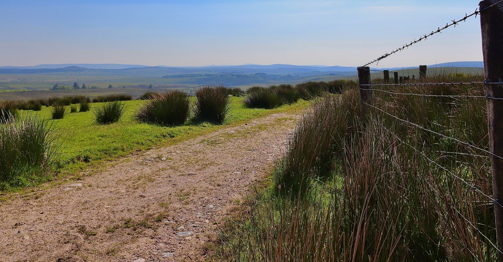 Discovering the Crock of Gold: A Gentle Walk near&nbsp;Princetown