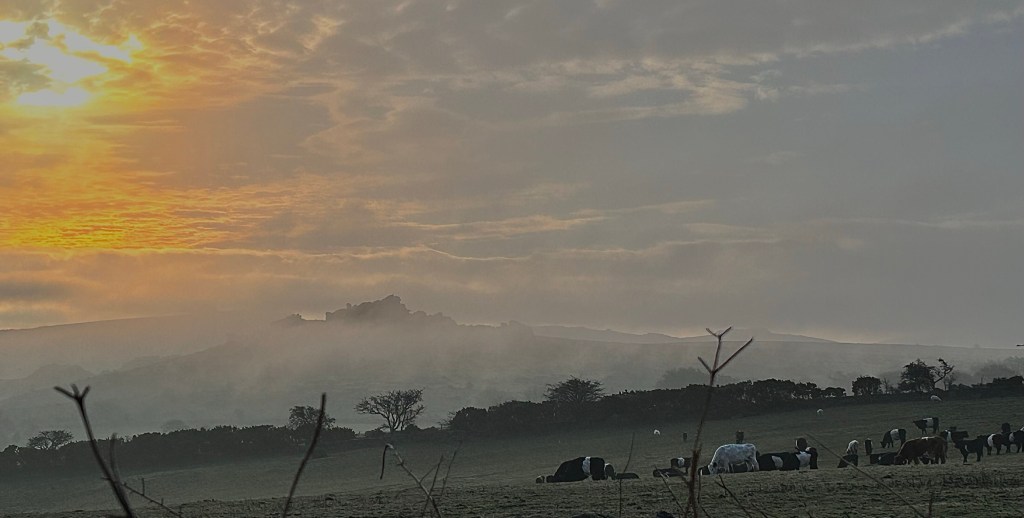 Hound Tor and Bowerman’s Nose Walk: Folklore, History, and Panoramic Views