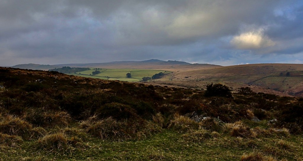 Tramline Woods to Belstone and Higher Tors including Nine Maidens: Serene Hiking&nbsp;Route