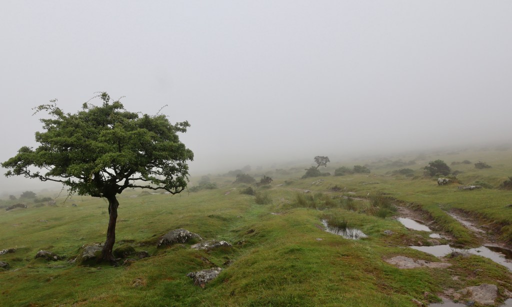 Hiking in Dartmoor Mist: Cox Tor, Roos Tor, Thufurs, and Ancient Settlements