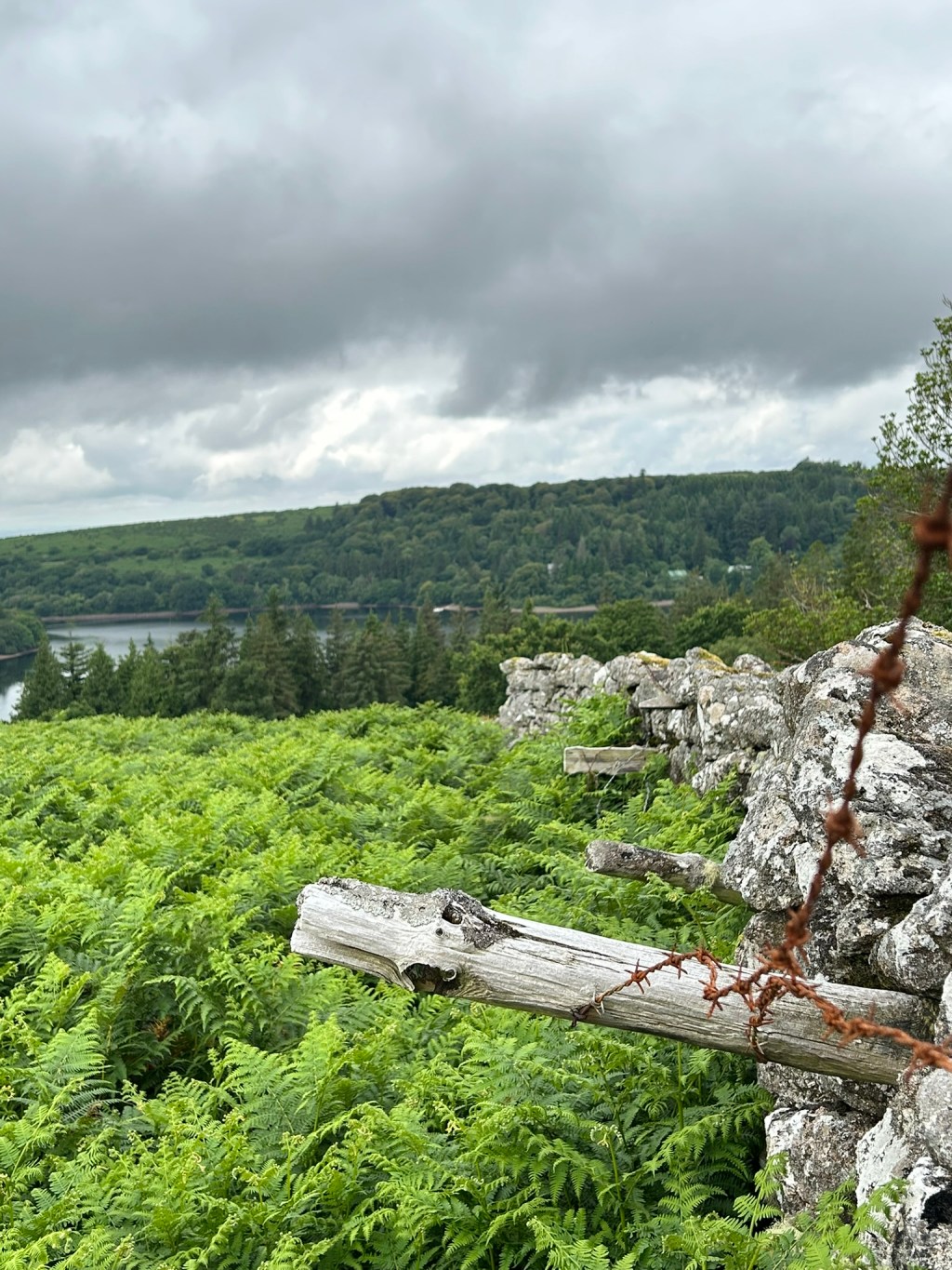 Sheepstor and the Piskies House