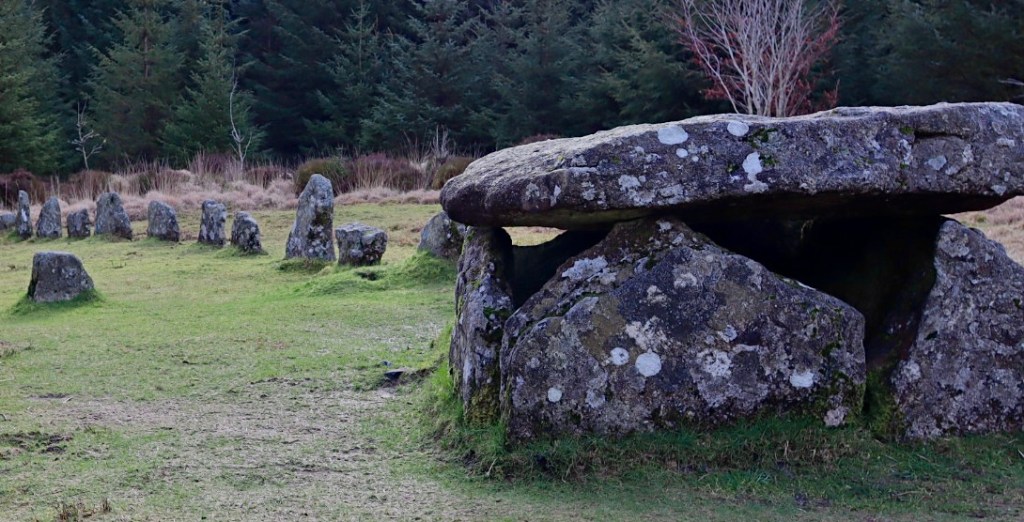 A Perfect Day Walk in Bellever: History and Nature